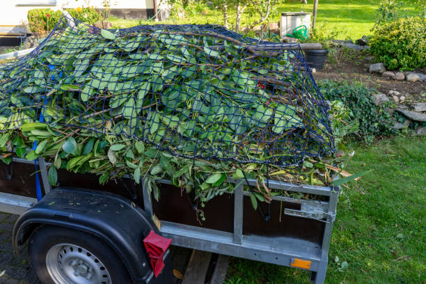 Best Estate Cleanout  in Mechanicsburg, PA